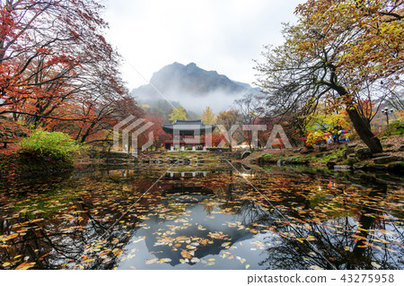 Jeollanamdo, Korea, Changseong County, Baekyangsa 43275958