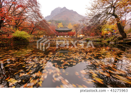 Jeollanamdo, Korea, Changseong County, Baekyangsa 43275963