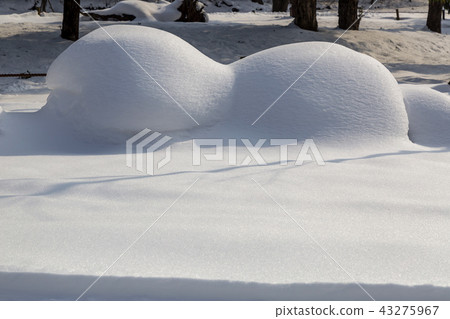 Jeollanamdo, Korea, Changseong County, Baekyangsa Jeollanamdo, Korea, Changseong County, Baekyangsa 43275967