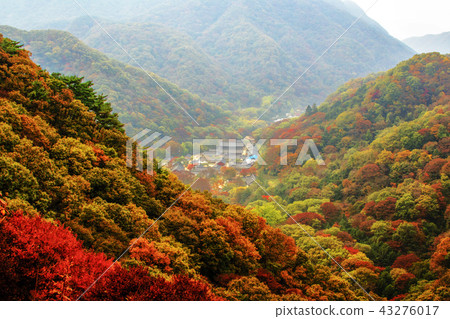 Jeollanamdo, Korea, Changseong County, Baekyangsa Jeollanamdo, Korea, Changseong County, Baekyangsa 43276017