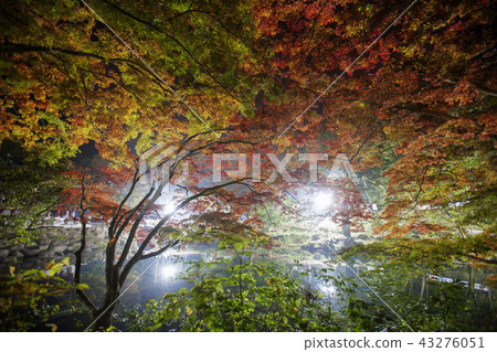 Jeollanamdo, Korea, Changseong County, Baekyangsa 43276051