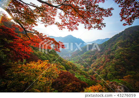 Jeollanamdo, Korea, Changseong County, Baekyangsa Jeollanamdo, Korea, Changseong County, Baekyangsa 43276059