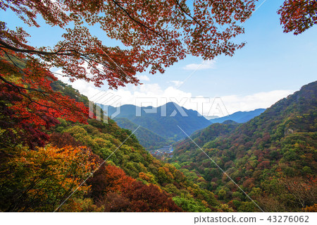 Jeollanamdo, Korea, Changseong County, Baekyangsa Jeollanamdo, Korea, Changseong County, Baekyangsa 43276062