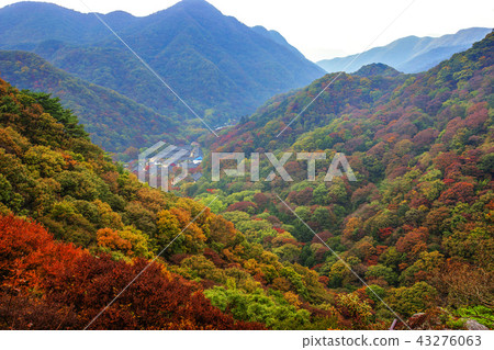Jeollanamdo, Korea, Changseong County, Baekyangsa Jeollanamdo, Korea, Changseong County, Baekyangsa 43276063