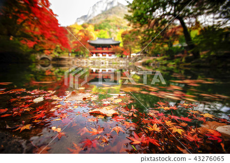 Jeollanamdo, Korea, Changseong County, Baekyangsa 43276065