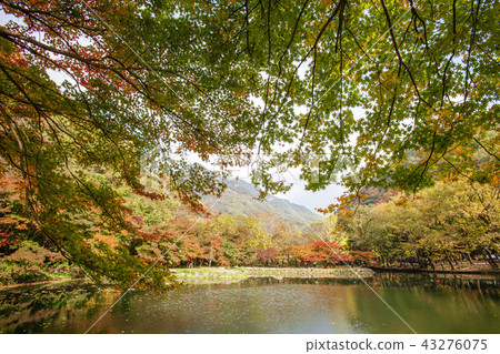 Jeollanamdo, Korea, Changseong County, Baekyangsa 43276075