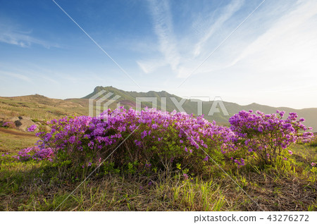 Gyeongsangnam-do, South Korea, Sancheong, Gyeongsangnam-do, South Korea, Sancheong, 43276272