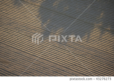 Gyeongsangbuk-do, Korea, Yecheon, Gyeongsangbuk-do, Korea, Yecheon, 43276273