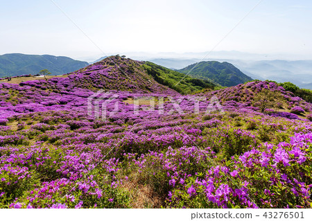 Gyeongsangnam-do, South Korea, Sancheong, 43276501