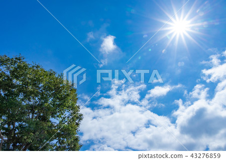 Midsummer blue sky Midsummer blue sky 43276859