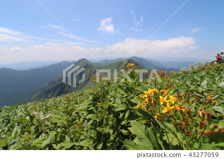 Mountain climbing to Mizuhodanidake, Gunma Prefecture Mountain climbing to Mizuhodanidake, Gunma Prefecture 43277059