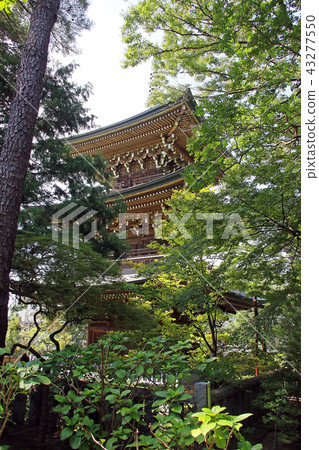 Dojoji Dojoji 43277550