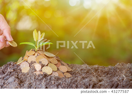 Save environment and new transformation life 43277587