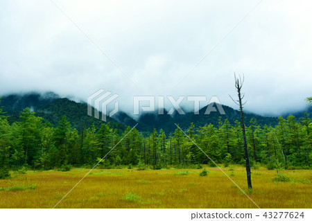 Kamikochi Tashiro濕地 43277624