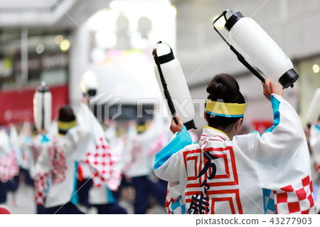 YOSAKOI YOSAKOI 43277903