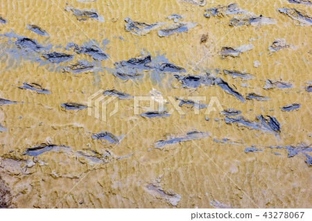 Foot prints on a clay beach 43278067