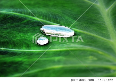 水滴 水滴 43278366