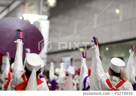 Yosakoi Yosakoi 43278930