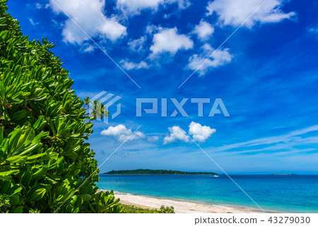 沖繩海 沖繩海 43279030