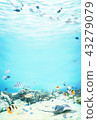 Illustration in the tropical ocean 43279079