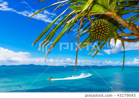 The sea of Okinawa 43279093