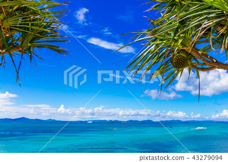 The sea of Okinawa 43279094