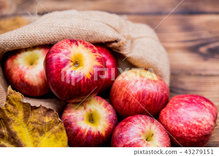 Fall harvest cornucopia. Red apples in the garden. 43279151