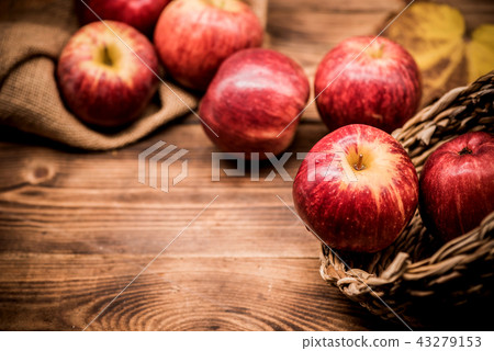 Fall harvest cornucopia. Red apples in the garden. Fall harvest cornucopia. Red apples in the garden. 43279153