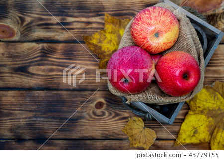 Fall harvest cornucopia. Basket with red apples Fall harvest cornucopia. Basket with red apples 43279155