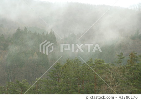Shinshu Hakuba village wrapped in morning mist, fresh green mountain forest 43280176