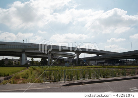 Hanshin Expressway Matsubara JCT 43281072