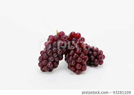 Grape 43281109