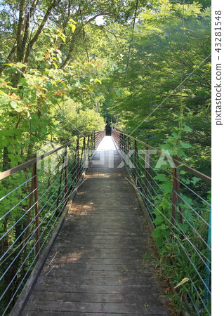 Nohara suspension bridge of Doshigawa Nohara suspension bridge of Doshigawa 43281548