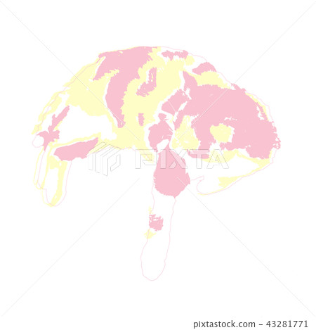 Cat's illustration 43281771