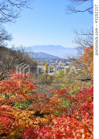 Nagano Prefecture Landscape Takato Castle Park in Autumn 43282317