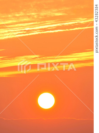 Asahi-10057 43282384