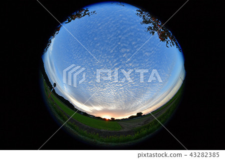 Autumn landscape 43282385