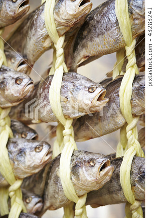 Ishimochi 43283241