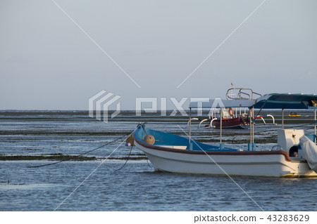 巴厘島沙努爾海灘印度尼西亞 巴厘島沙努爾海灘印度尼西亞 43283629