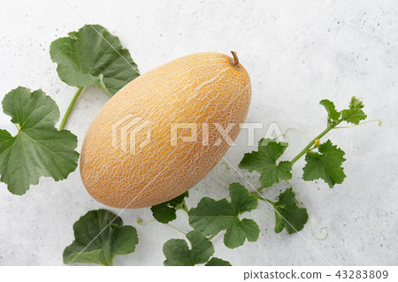 Fresh oval melon and flowering vine on white stone background 43283809