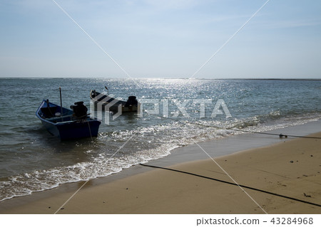 普吉島奈揚海灘 普吉島奈揚海灘 43284968