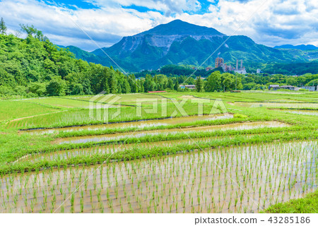 Terasaka Tanada 43285186