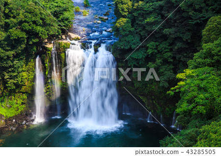 上川大垣[鹿兒島縣肝臟屬地區] 43285505