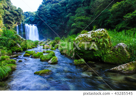 上川大垣[鹿兒島縣肝臟屬地區] 43285545