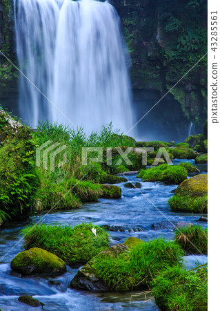 上川大垣[鹿兒島縣肝臟屬地區] 43285561