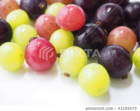 Assorted grapes Assorted grapes 43285679