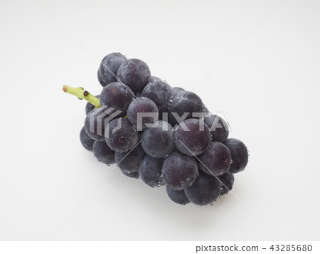 葡萄（藤島） 43285680