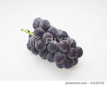 Grape (Fujishima) Grape (Fujishima) 43285702