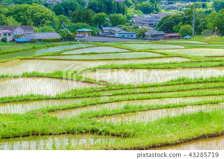 Terasaka Tanada Terasaka Tanada 43285719