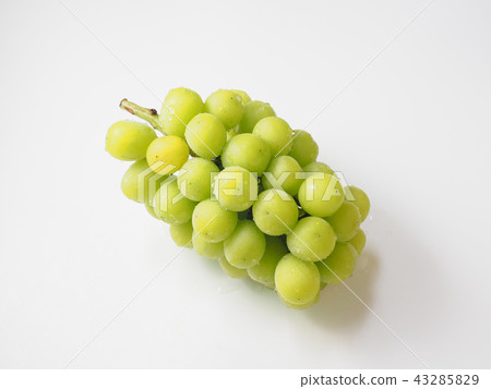Grape (Shine Muscat) 43285829